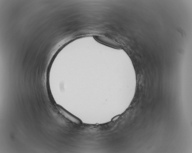 X0000112820148200910021209