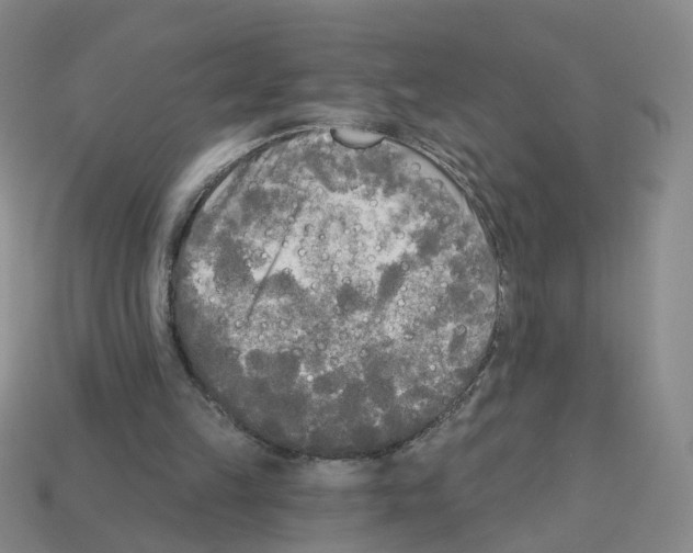 X0000112820149200910021209