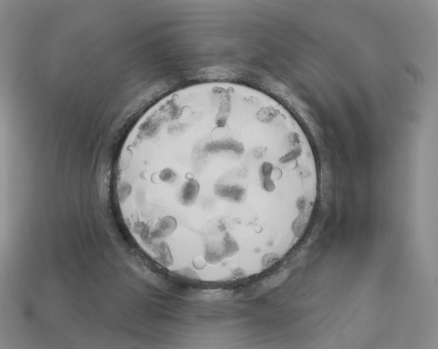 X0000112820153200910021209