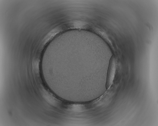 X0000112820154200910021209