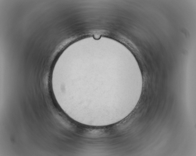 X0000112820155200910021209