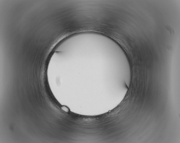 X0000112820156200910021209