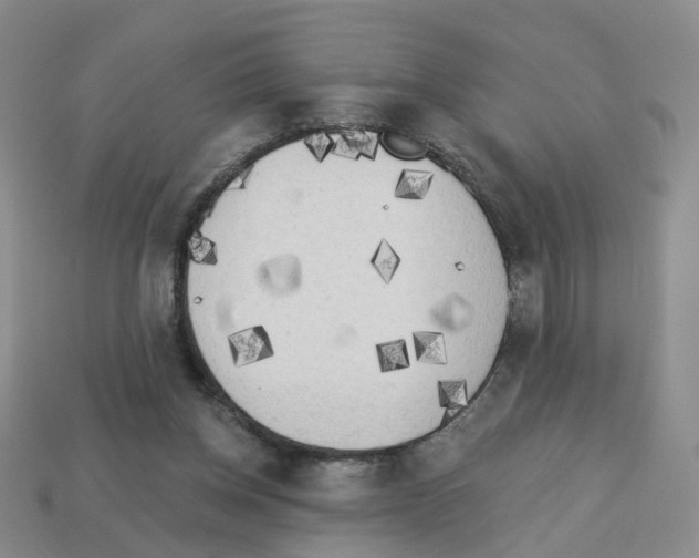 X0000112820158200910021209