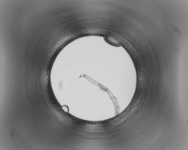 X0000112820160200910021209