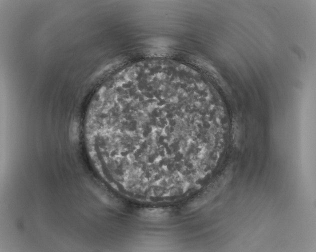 X0000112820161200910021209