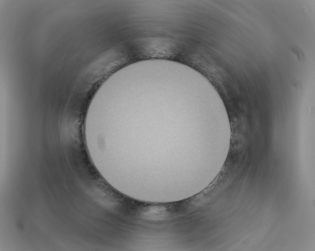 X0000112820162200910021209