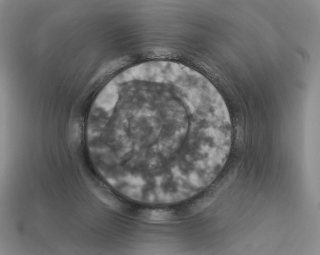 X0000112820165200910021209