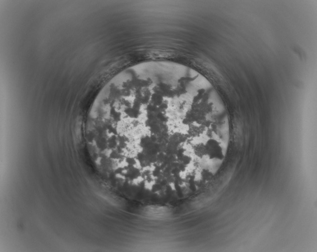 X0000112820169200910021209