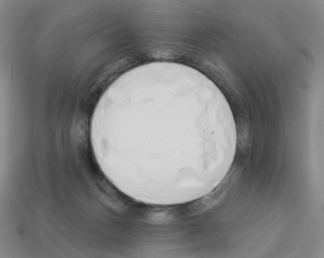 X0000112820175200910021209