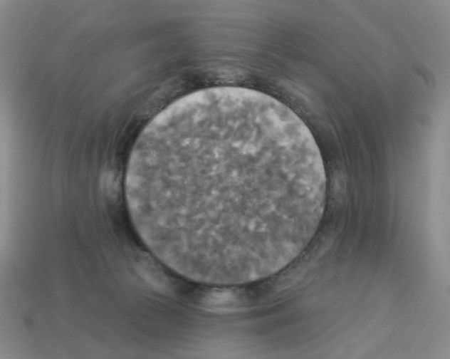 X0000112820177200910021209