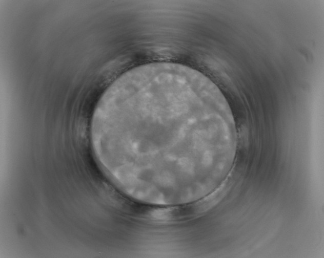 X0000112820178200910021209