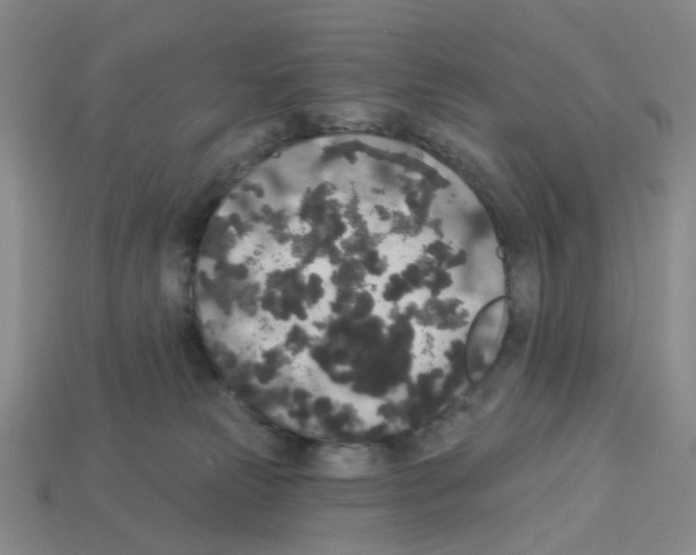 X0000112820181200910021209