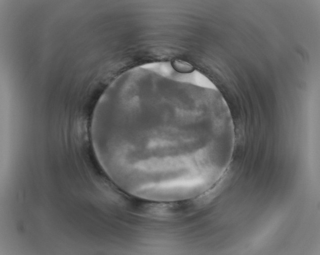 X0000112820182200910021209