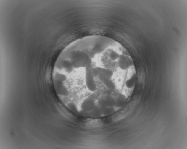 X0000112820185200910021209