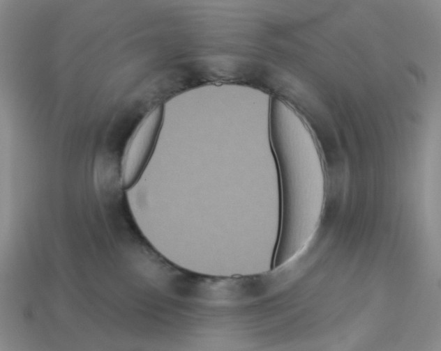 X0000112820186200910021209