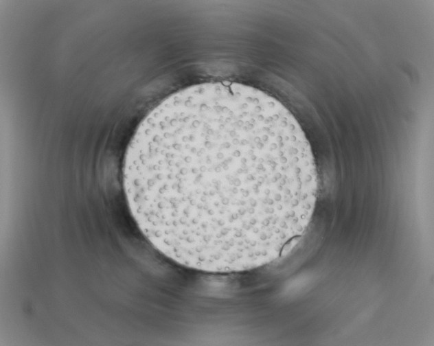 X0000112820187200910021209