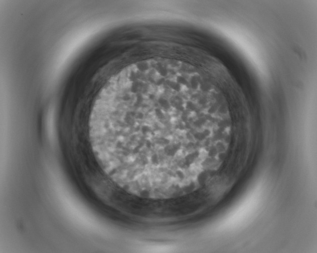 X0000112820189200910021209