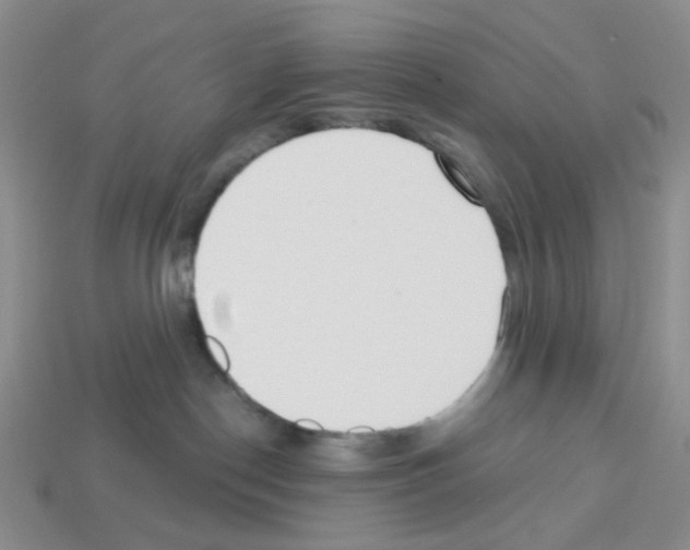 X0000112820190200910021209