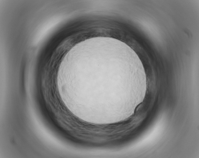 X0000112820191200910021210