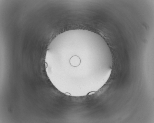 X0000112820192200910021210