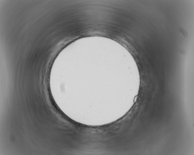 X0000112820193200910021209