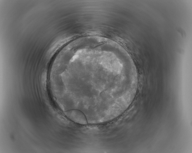 X0000112820194200910021209