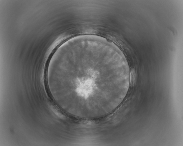 X0000112820195200910021209