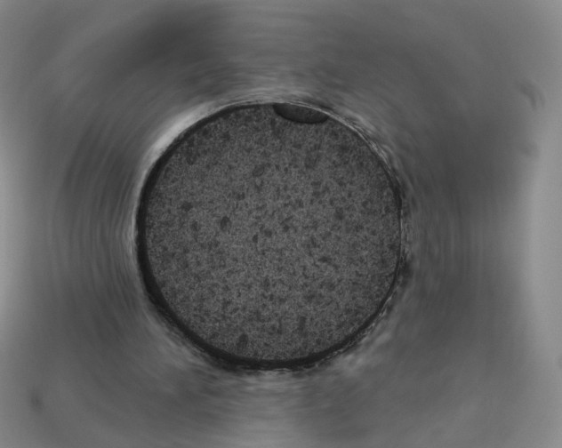 X0000112820196200910021209