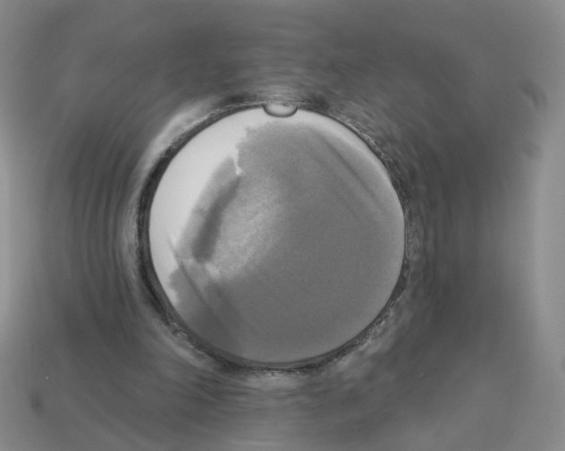 X0000112820198200910021209