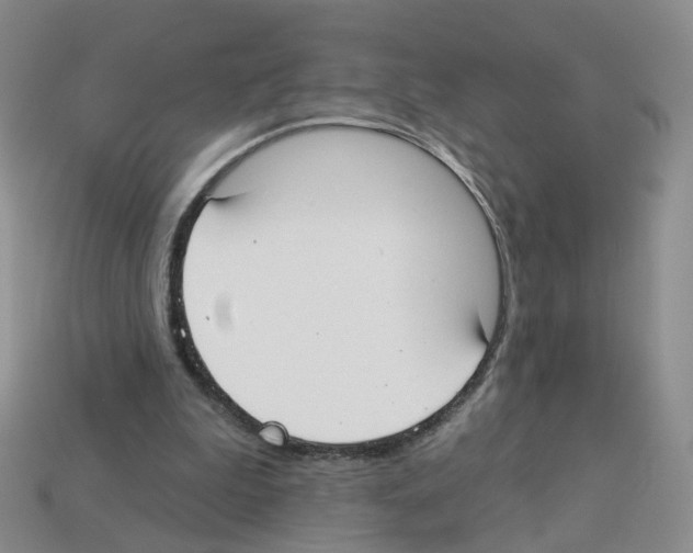 X0000112820199200910021209