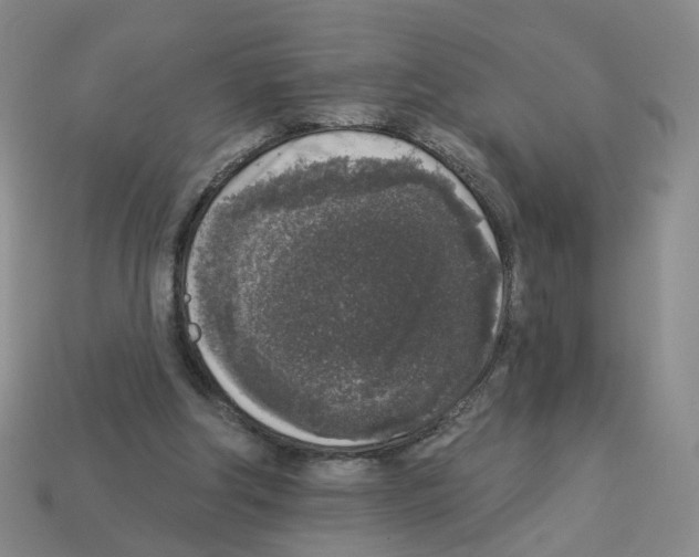 X0000112820202200910021209