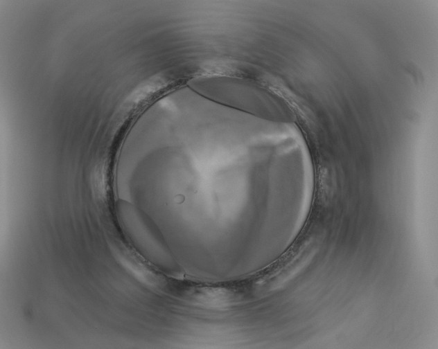 X0000112820203200910021209