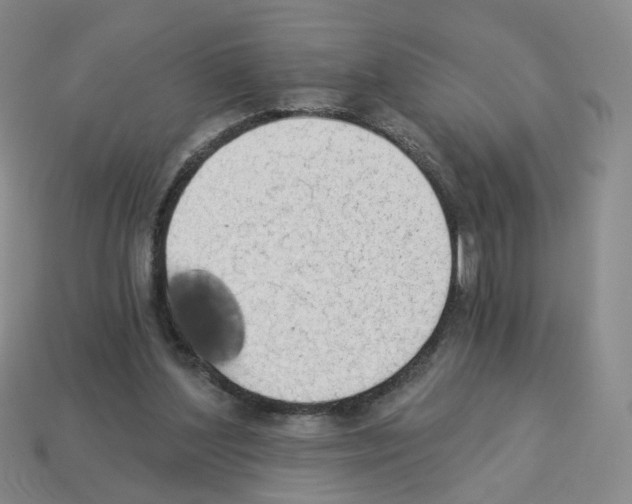 X0000112820204200910021209