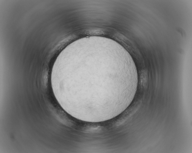 X0000112820206200910021209