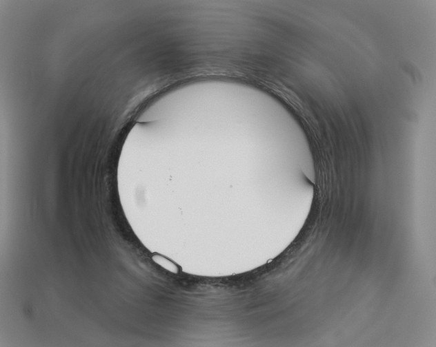 X0000112820207200910021209