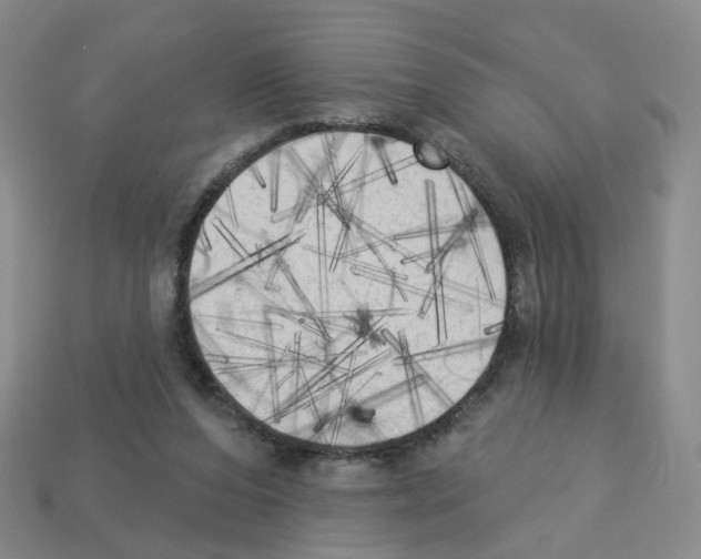 X0000112820208200910021209