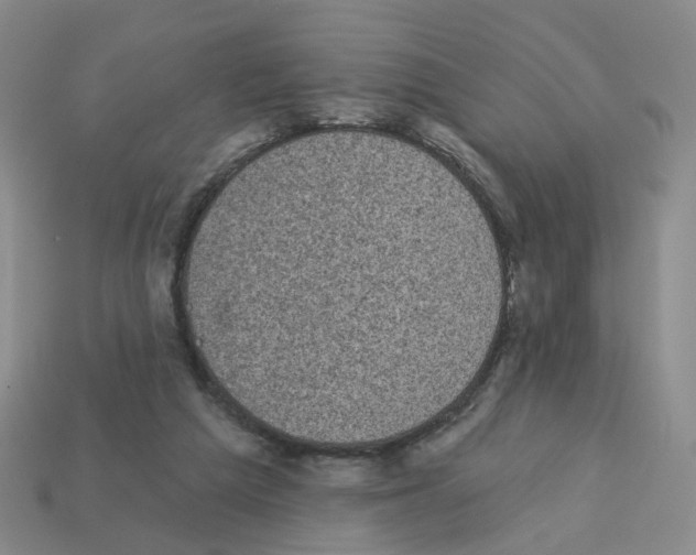 X0000112820209200910021209