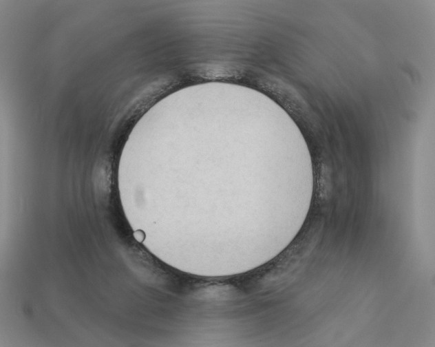 X0000112820210200910021209