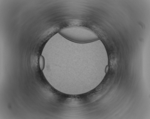 X0000112820211200910021209