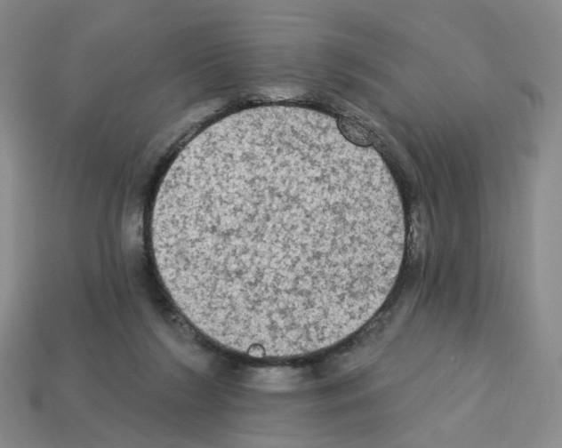 X0000112820212200910021209