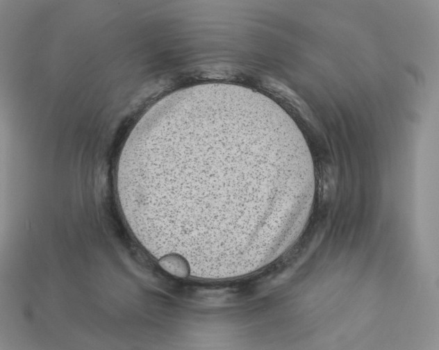 X0000112820213200910021209