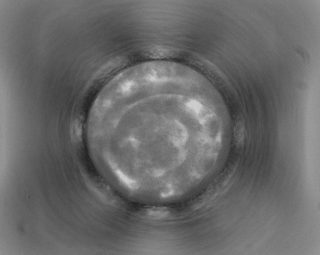 X0000112820214200910021209