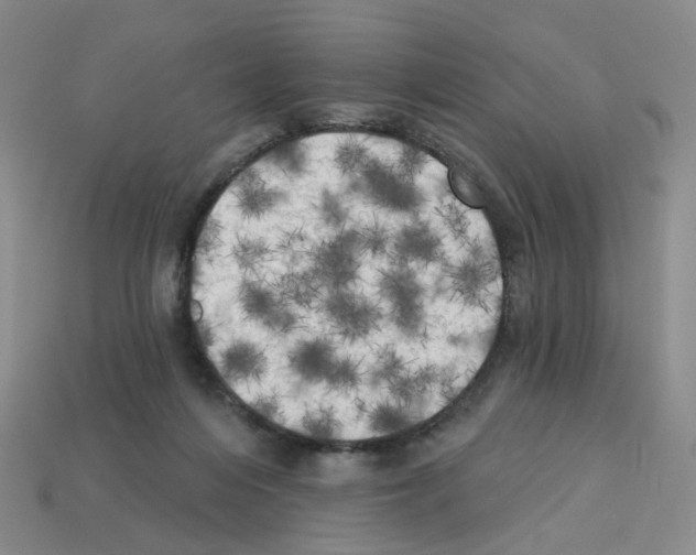 X0000112820216200910021209