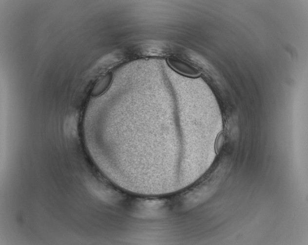 X0000112820217200910021209