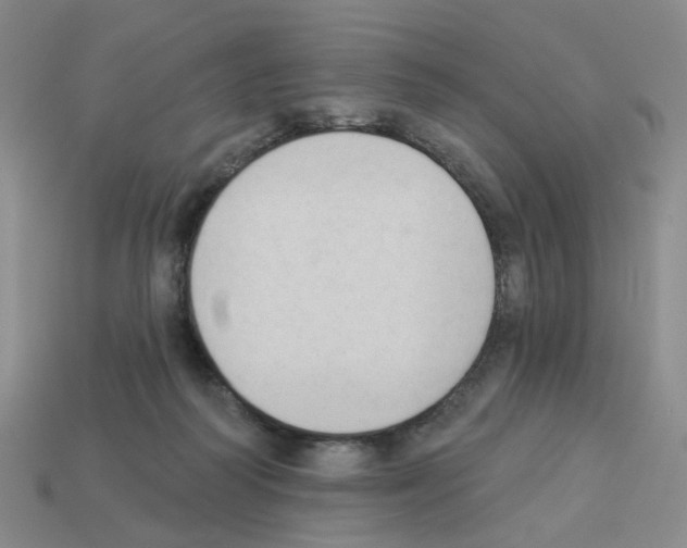 X0000112820218200910021209