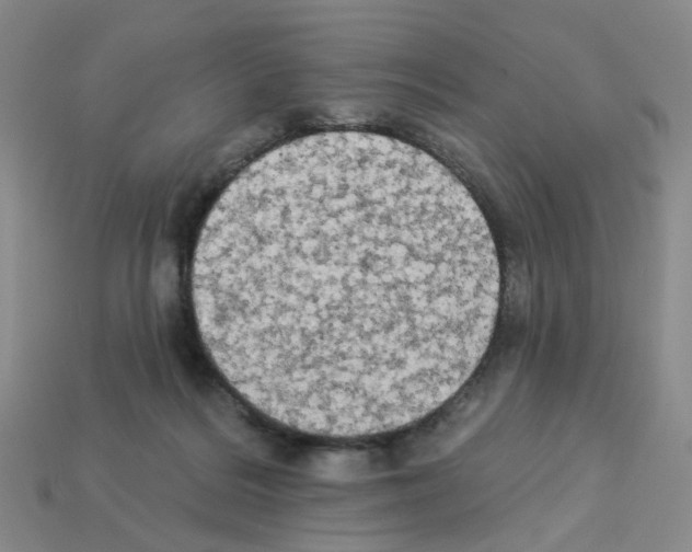 X0000112820220200910021209