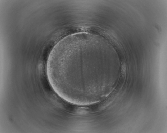 X0000112820222200910021209