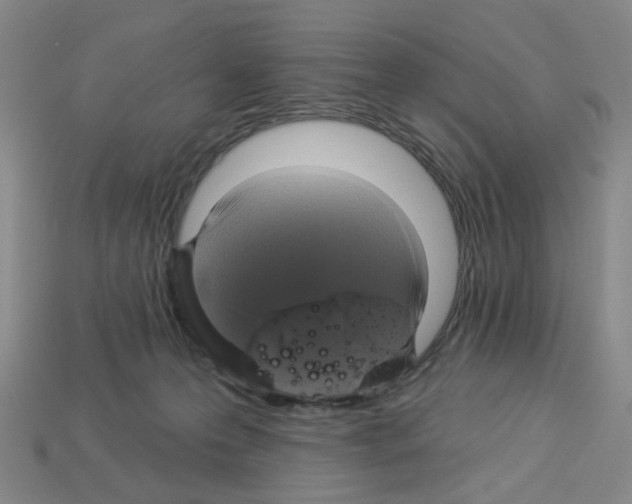 X0000112820223200910021209