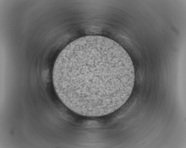 X0000112820224200910021209