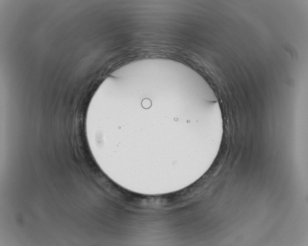 X0000112820225200910021208